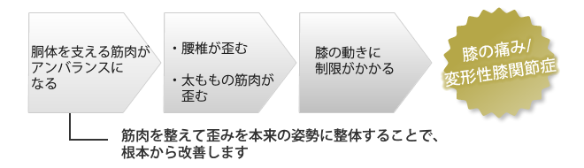 膝の痛みのメカニズム
